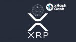 XRP-Ledger.jpg